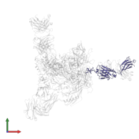 Immunoglobulin gamma-1 heavy chain in PDB entry 5vj6, assembly 1, front view.