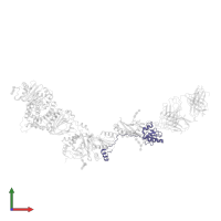 Envelope glycoprotein UL128 in PDB entry 5vod, assembly 1, front view.