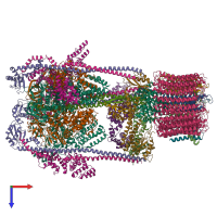 Hetero 33-meric assembly 1 of PDB entry 5voz coloured by chemically distinct molecules, top view.