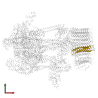 V-type proton ATPase subunit c' in PDB entry 5voz, assembly 1, front view.