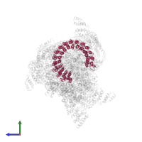 V-type proton ATPase subunit c in PDB entry 5voz, assembly 1, side view.