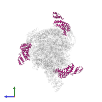 Uncharacterized protein in PDB entry 5voz, assembly 1, side view.