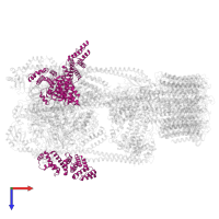Uncharacterized protein in PDB entry 5voz, assembly 1, top view.