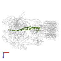V-type proton ATPase subunit D in PDB entry 5voz, assembly 1, top view.