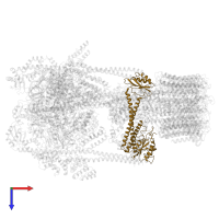 V-type proton ATPase subunit C in PDB entry 5voz, assembly 1, top view.