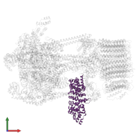V-type proton ATPase subunit H in PDB entry 5voz, assembly 1, front view.