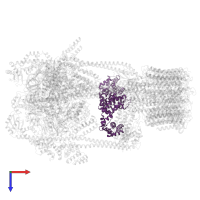 V-type proton ATPase subunit H in PDB entry 5voz, assembly 1, top view.