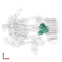 V-type proton ATPase subunit d in PDB entry 5voz, assembly 1, front view.