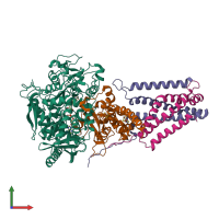 Hetero tetrameric assembly 1 of PDB entry 5vpn coloured by chemically distinct molecules, front view.