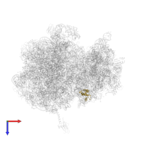 Small ribosomal subunit protein uS15 in PDB entry 5vpp, assembly 2, top view.