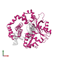 DNA polymerase beta in PDB entry 5vrw, assembly 1, front view.