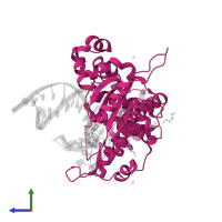 DNA polymerase beta in PDB entry 5vrw, assembly 1, side view.