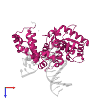 DNA polymerase beta in PDB entry 5vrw, assembly 1, top view.