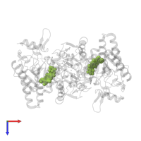 PROTOPORPHYRIN IX CONTAINING FE in PDB entry 5vuz, assembly 1, top view.