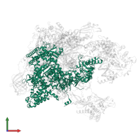 DNA-directed RNA polymerase II subunit RPB1 in PDB entry 5vvr, assembly 1, front view.