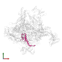 DNA-directed RNA polymerase subunit omega in PDB entry 5w1t, assembly 1, front view.