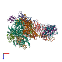 PDB entry 5w65 coloured by chain, top view.