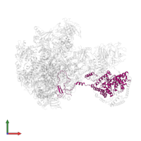 RNA polymerase I-specific transcription initiation factor RRN7 in PDB entry 5w65, assembly 1, front view.