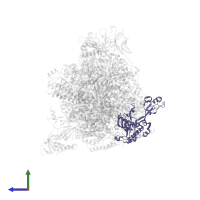 DNA-directed RNA polymerases I and III subunit RPAC1 in PDB entry 5w65, assembly 1, side view.