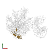 DNA-directed RNA polymerase I subunit RPA43 in PDB entry 5w65, assembly 1, front view.