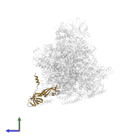 DNA-directed RNA polymerase I subunit RPA43 in PDB entry 5w65, assembly 1, side view.