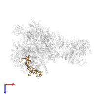 DNA-directed RNA polymerase I subunit RPA43 in PDB entry 5w65, assembly 1, top view.