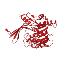 The deposited structure of PDB entry 5wbr contains 2 copies of CATH domain 3.40.1190.20 (UDP-N-acetylmuramoyl-L-alanine:D-glutamate ligase) in Ketohexokinase. Showing 1 copy in chain B.