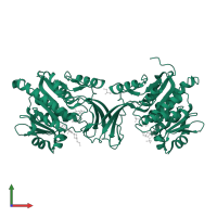 Ketohexokinase in PDB entry 5wbr, assembly 1, front view.