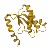 The deposited structure of PDB entry 5we4 contains 1 copy of Pfam domain PF00861 (Ribosomal L18 of archaea, bacteria, mitoch. and chloroplast) in Large ribosomal subunit protein uL18. Showing 1 copy in chain O.