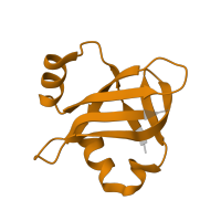 The deposited structure of PDB entry 5we4 contains 1 copy of Pfam domain PF01386 (Ribosomal L25p family) in Large ribosomal subunit protein bL25. Showing 1 copy in chain V.