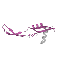 The deposited structure of PDB entry 5we4 contains 1 copy of Pfam domain PF00830 (Ribosomal L28 family) in Large ribosomal subunit protein bL28. Showing 1 copy in chain X.