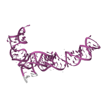 The deposited structure of PDB entry 5we4 contains 1 copy of Rfam domain RF00001 (5S ribosomal RNA) in 5S ribosomal RNA. Showing 1 copy in chain B.