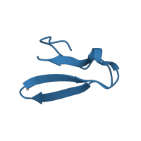 The deposited structure of PDB entry 5we4 contains 1 copy of Pfam domain PF00444 (Ribosomal protein L36) in Large ribosomal subunit protein bL36A. Showing 1 copy in chain EA [auth 4].