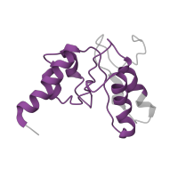 The deposited structure of PDB entry 5we4 contains 1 copy of Pfam domain PF00466 (Ribosomal protein L10) in Large ribosomal subunit protein uL10. Showing 1 copy in chain FA [auth 5].