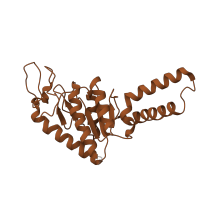 The deposited structure of PDB entry 5we4 contains 1 copy of Pfam domain PF00318 (Ribosomal protein S2) in Small ribosomal subunit protein uS2. Showing 1 copy in chain IA [auth b].