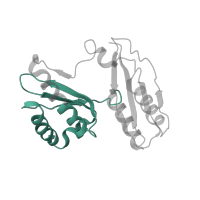 The deposited structure of PDB entry 5we4 contains 1 copy of Pfam domain PF07650 (KH domain) in Small ribosomal subunit protein uS3. Showing 1 copy in chain JA [auth c].