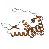 The deposited structure of PDB entry 5we4 contains 1 copy of Pfam domain PF00177 (Ribosomal protein S7p/S5e) in Small ribosomal subunit protein uS7. Showing 1 copy in chain NA [auth g].