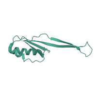The deposited structure of PDB entry 5we4 contains 1 copy of Pfam domain PF00338 (Ribosomal protein S10p/S20e) in Small ribosomal subunit protein uS10. Showing 1 copy in chain QA [auth j].