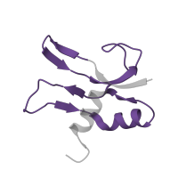 The deposited structure of PDB entry 5we4 contains 1 copy of Pfam domain PF00886 (Ribosomal protein S16) in Small ribosomal subunit protein bS16. Showing 1 copy in chain WA [auth p].