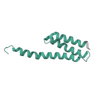 The deposited structure of PDB entry 5we4 contains 1 copy of Pfam domain PF01649 (Ribosomal protein S20) in Small ribosomal subunit protein bS20. Showing 1 copy in chain AB [auth t].