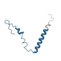 The deposited structure of PDB entry 5we4 contains 1 copy of Pfam domain PF01165 (Ribosomal protein S21) in Small ribosomal subunit protein bS21. Showing 1 copy in chain BB [auth u].