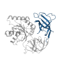 The deposited structure of PDB entry 5we4 contains 1 copy of Pfam domain PF03143 (Elongation factor Tu C-terminal domain) in Elongation factor Tu 2. Showing 1 copy in chain GB [auth z].