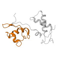 The deposited structure of PDB entry 5we4 contains 1 copy of Pfam domain PF03946 (Ribosomal protein L11, N-terminal domain) in Large ribosomal subunit protein uL11. Showing 1 copy in chain I.