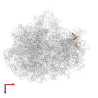 Small ribosomal subunit protein uS14 in PDB entry 5we4, assembly 1, top view.
