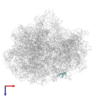 Small ribosomal subunit protein bS18 in PDB entry 5we4, assembly 1, top view.