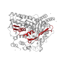 The deposited structure of PDB entry 5wgs contains 1 copy of Pfam domain PF04820 (Tryptophan halogenase) in Flavin-dependent halogenase malA. Showing 1 copy in chain A.