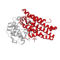 The deposited structure of PDB entry 5whr contains 2 copies of CATH domain 1.20.58.480 (Methane Monooxygenase Hydroxylase; Chain G, domain 1) in Indoleamine 2,3-dioxygenase 1. Showing 1 copy in chain A.