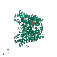 Homo dimeric assembly 1 of PDB entry 5whr coloured by chemically distinct molecules, side view.