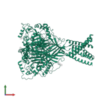 Acid-sensing ion channel 1 in PDB entry 5wkx, assembly 1, front view.