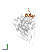 Mature secreted glycoprotein G in PDB entry 5wn9, assembly 1, side view.